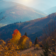 autumn1