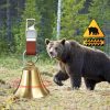 3/6 Pack Loud Bear Bell with Whistle Set for Hikers, 2 Inch 3 in 1 Hiking Gear Bear Bells with Emergency Whistle and Carabiner Clip for Home Decor, Survival, Biking, Climbing
