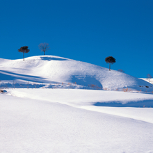 winter1