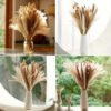 200pcs Artificial Rattan Flowers for All Seasons - Reunion & Exhibition Faux Pampas Grass Bundle, Tabletop Decor for Various Room Types, Ideal for Fall Season & Major Holidays (Christmas, Halloween, Easter, Hanukkah, Thanksgiving) - No Container Included