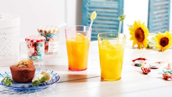 19oz Unbreakable Premium Drinking Glasses Set of 6 - Super Grade Acrylic Plastic - Perfect for Gifts - Dishwasher Safe - Stackable - Drinkware Cups Reusable Water Tumbler